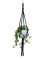 IMG-0896-removebg-preview.png