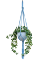IMG-0838-removebg-preview.png