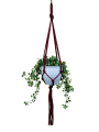 IMG-0779-removebg-preview.png