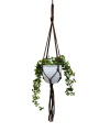 IMG-0883-removebg-preview.png