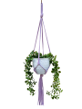 IMG-0397-removebg-preview.png