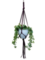 IMG-0784-removebg-preview.png