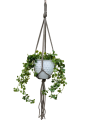 IMG-0877-removebg-preview.png