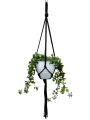 IMG-0890-removebg-preview.png