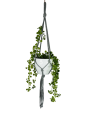 IMG-0362-removebg-preview.png