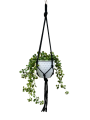 IMG-0904-removebg-preview.png