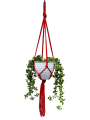IMG-0436-removebg-preview.png