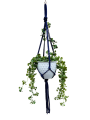 IMG-0423-removebg-preview.png