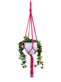 IMG-0403-removebg-preview.png