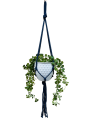 IMG-0856-removebg-preview.png
