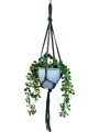 IMG-0826-removebg-preview.png