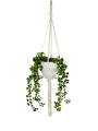 IMG-0344-removebg-preview.png