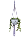 IMG-0417-removebg-preview.png