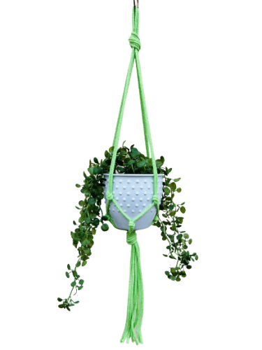 IMG-0796-removebg-preview.png