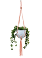 IMG-0410-removebg-preview.png