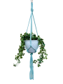 IMG-0790-removebg-preview.png