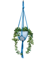 IMG-0843-removebg-preview.png