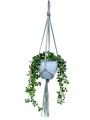 IMG-0814-removebg-preview.png