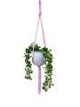 IMG-0389-removebg-preview.png
