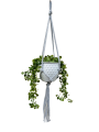 IMG-0911-removebg-preview.png