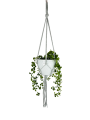 IMG-0356-removebg-preview.png