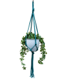 IMG-0802-removebg-preview.png