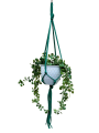 IMG-0808-removebg-preview.png