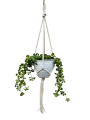 IMG-0917-removebg-preview.png