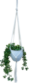 IMG-1362.PNG