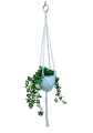 IMG-1364.PNG