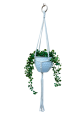 IMG-1365.PNG