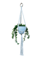 IMG-1366.PNG