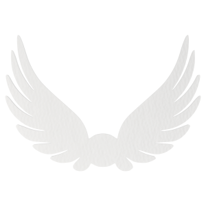 Skrzydełka skrzydła anielskie BIAŁE anioł