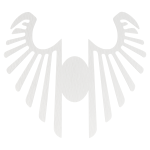 Skrzydełka skrzydła anielskie BIAŁE anioł do anioła baza decoupage