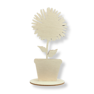 Kwiat chaber mniszek mlecz w doniczce stojący 15 cm 