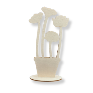 Kwiaty maki chabry w doniczce stojące 15 cm 