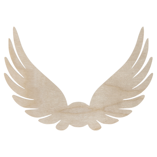 s100.png