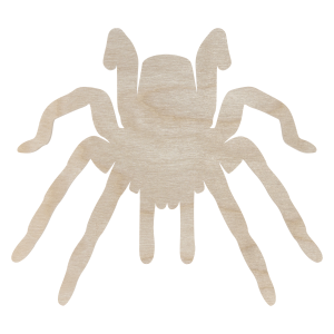 Drewniany pająk PTASZNIK TARANTULA 14 cm kształtka owady pajęczaki do dekorowania 